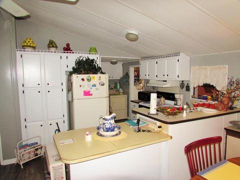 401 Three Rivers Rd, Carrabelle, FL 32322 photo 5