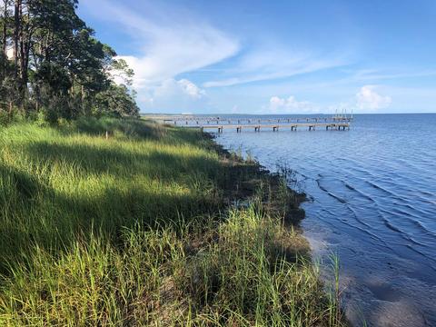 2856 Hwy 98 E, Carrabelle, FL 32322 photo 7