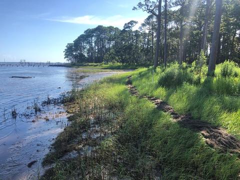 2856 Hwy 98 E, Carrabelle, FL 32322 photo 6
