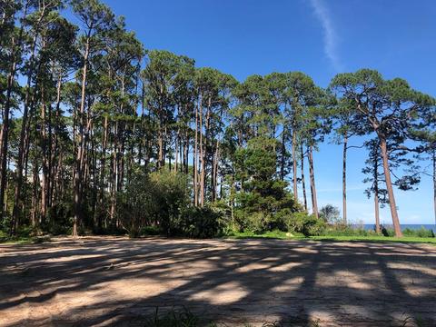 2856 Hwy 98 E, Carrabelle, FL 32322 photo 4