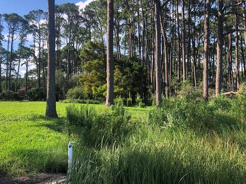 2856 Hwy 98 E, Carrabelle, FL 32322 photo 9