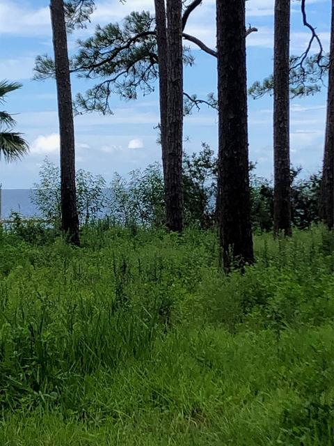 2866 Hwy 98 E, Carrabelle, FL 32322 photo 5
