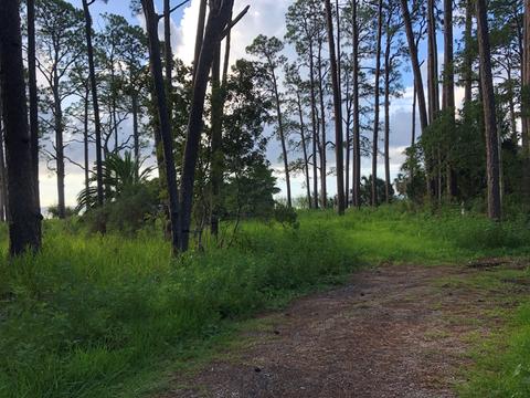 2866 Hwy 98 E, Carrabelle, FL 32322 photo 2