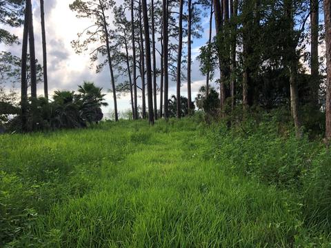 2866 Hwy 98 E, Carrabelle, FL 32322 photo 3