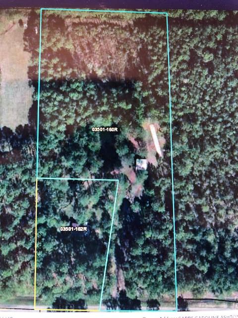 277295 Sunshine Rd, Overstreet, FL 32456