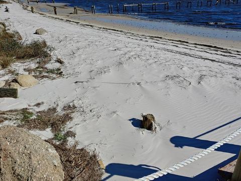 2240 Hwy 98 E, Carrabelle, FL 32322 photo 71