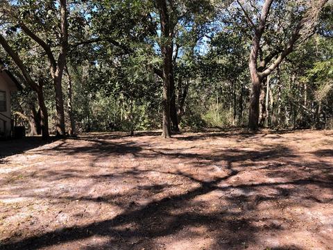 401 11th St, Carrabelle, FL 32322 photo 3