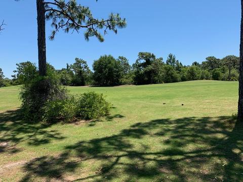 134 Anhinga Trl, Carrabelle, FL 32322 photo 1