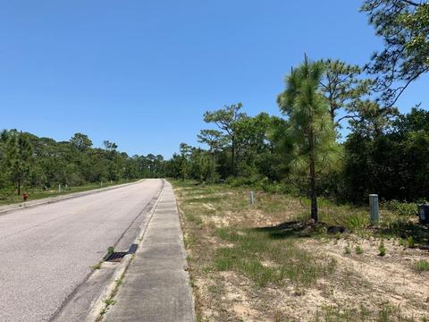 134 Anhinga Trl, Carrabelle, FL 32322 photo 2