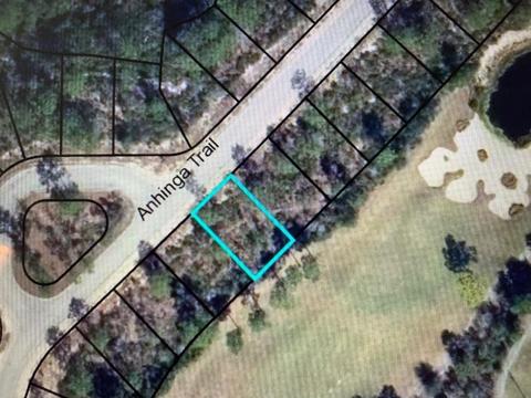 134 Anhinga Trl, Carrabelle, FL 32322 photo 3