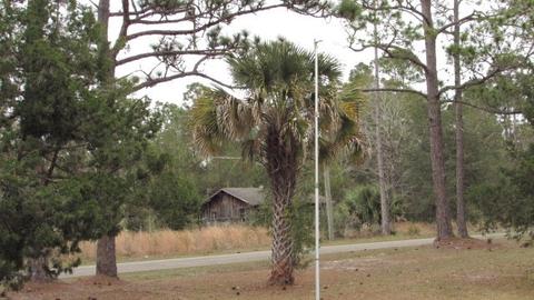 124 Kendrick Rd, Carrabelle, FL 32322 photo 34