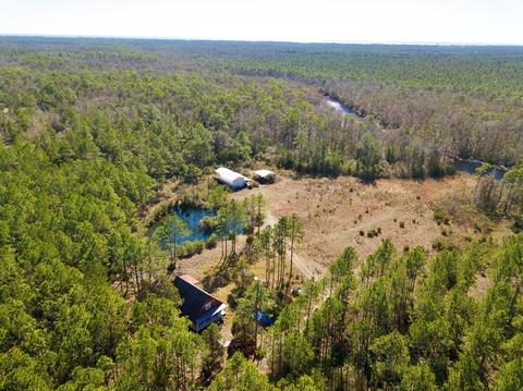 520 Hickory Hammock Rd, Carrabelle, FL 32322 photo 1