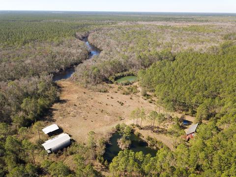 520 Hickory Hammock Rd, Carrabelle, FL 32322 photo 14