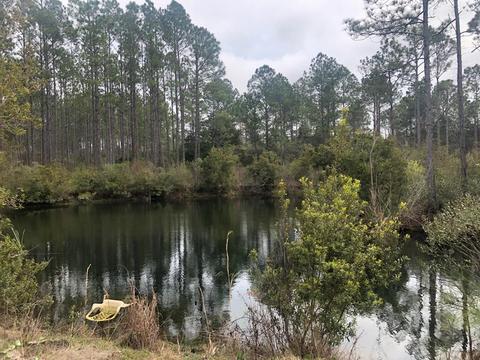 520 Hickory Hammock Rd, Carrabelle, FL 32322 photo 3