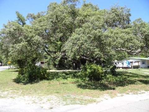 412 Ave K, Carrabelle, FL 32322 photo 4