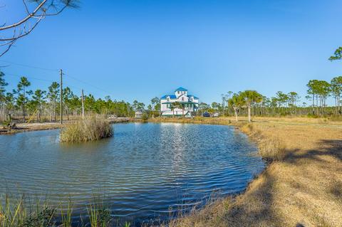713 Mill Rd, Carrabelle, FL 32322 photo 8