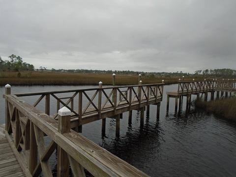 513 Shellys Loop Rd, Carrabelle, FL 32322 photo 18