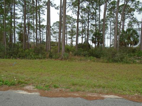 513 Shellys Loop Rd, Carrabelle, FL 32322 photo 4
