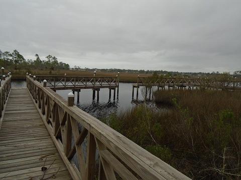 513 Shellys Loop Rd, Carrabelle, FL 32322 photo 13