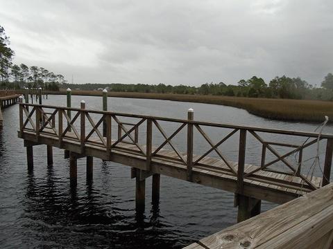 513 Shellys Loop Rd, Carrabelle, FL 32322 photo 16