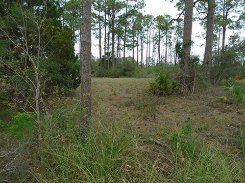 513 Shellys Loop Rd, Carrabelle, FL 32322 photo 14