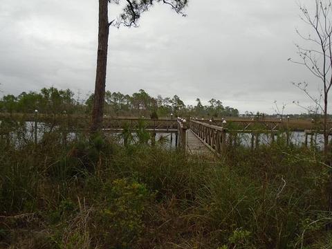 513 Shellys Loop Rd, Carrabelle, FL 32322 photo 1