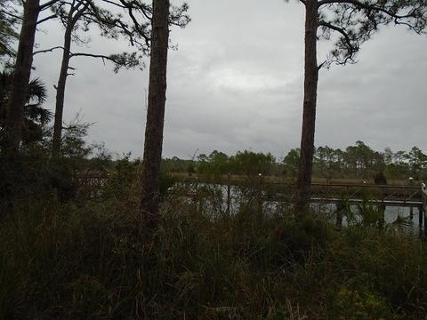 513 Shellys Loop Rd, Carrabelle, FL 32322 photo 9