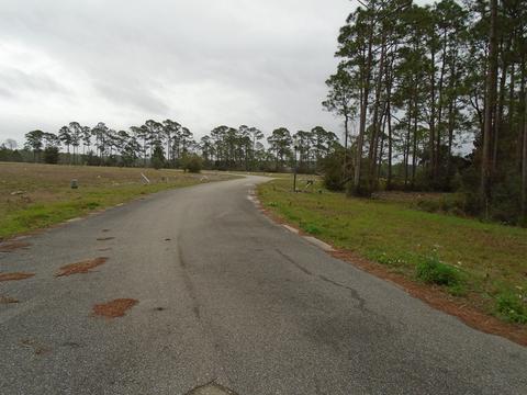 513 Shellys Loop Rd, Carrabelle, FL 32322 photo 5