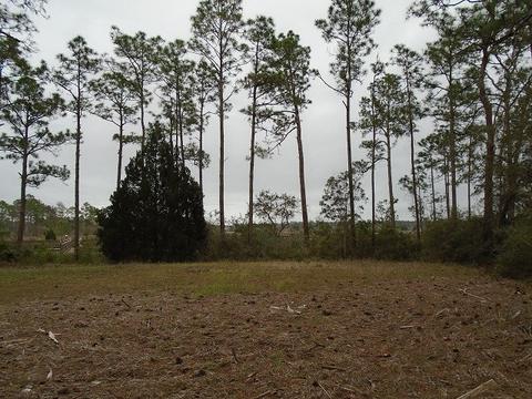 513 Shellys Loop Rd, Carrabelle, FL 32322 photo 8