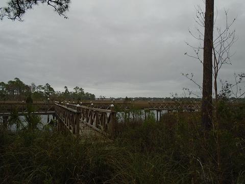 513 Shellys Loop Rd, Carrabelle, FL 32322 photo 10