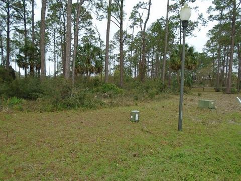 513 Shellys Loop Rd, Carrabelle, FL 32322 photo 6