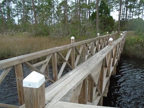 513 Shellys Loop Rd, Carrabelle, FL 32322 photo 22