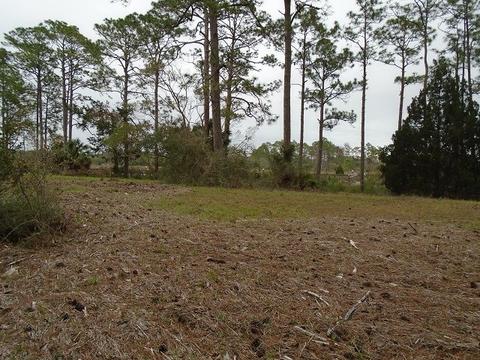 513 Shellys Loop Rd, Carrabelle, FL 32322 photo 7