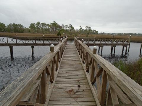 513 Shellys Loop Rd, Carrabelle, FL 32322 photo 11
