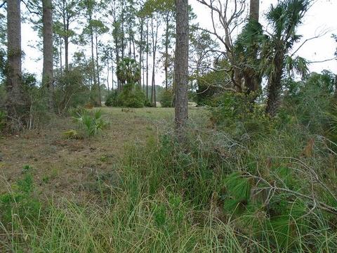 513 Shellys Loop Rd, Carrabelle, FL 32322 photo 15