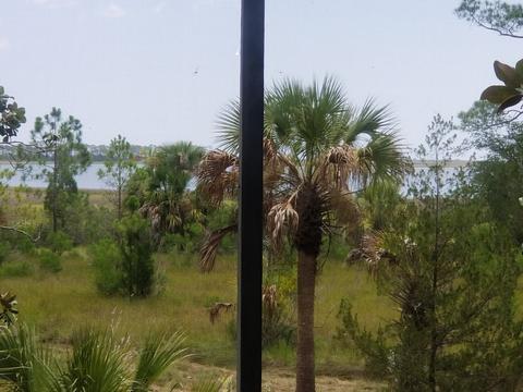 73 Alison Ave, Panacea, FL 32346 photo 3