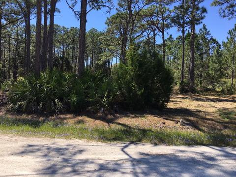 138 Doe Ln, Carrabelle, FL 32322 photo 7