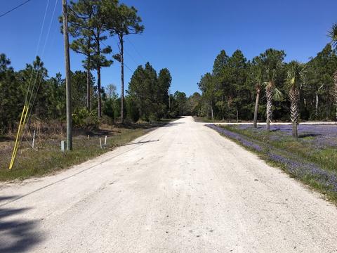 138 Doe Ln, Carrabelle, FL 32322 photo 2