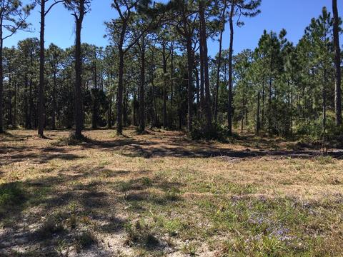 138 Doe Ln, Carrabelle, FL 32322 photo 6