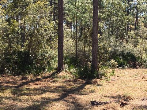 138 Doe Ln, Carrabelle, FL 32322 photo 8