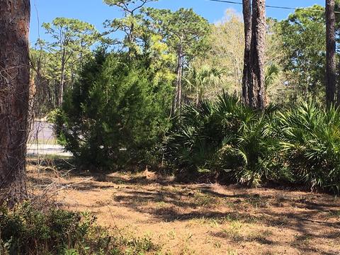 138 Doe Ln, Carrabelle, FL 32322 photo 9