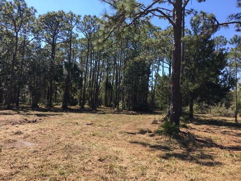 138 Doe Ln, Carrabelle, FL 32322 photo 5