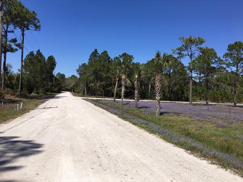 138 Doe Ln, Carrabelle, FL 32322 photo 11