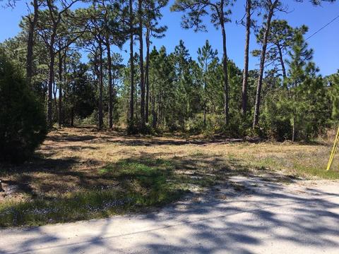 138 Doe Ln, Carrabelle, FL 32322 photo 10