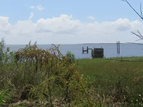 2656 Hwy 98 E, Carrabelle, FL 32322 photo 5