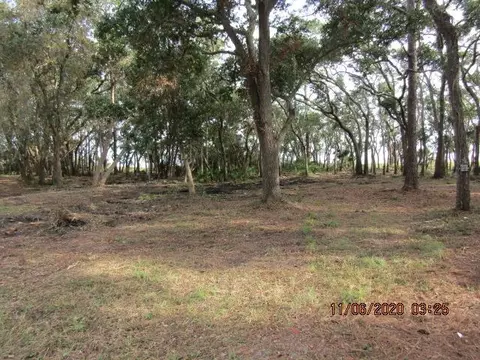 2656 Hwy 98 E, Carrabelle, FL 32322 photo 7