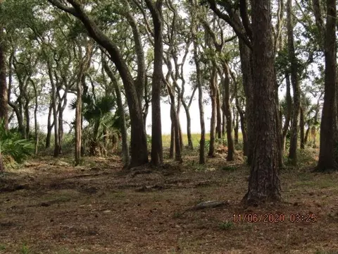 2656 Hwy 98 E, Carrabelle, FL 32322 photo 8