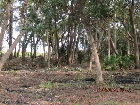 2656 Hwy 98 E, Carrabelle, FL 32322 photo 9