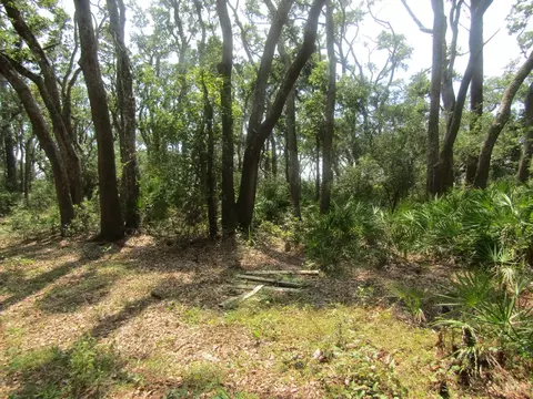 2656 Hwy 98 E, Carrabelle, FL 32322 photo 2