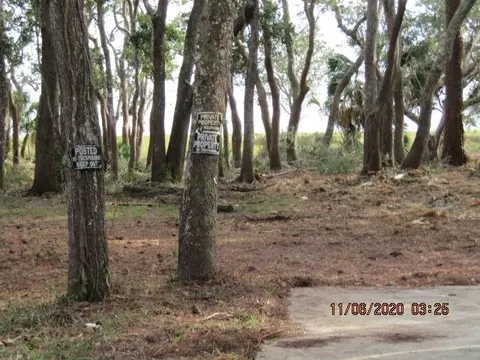 2656 Hwy 98 E, Carrabelle, FL 32322 photo 10